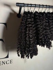 Rauwe Vietnamese SDD - Birmese krullend