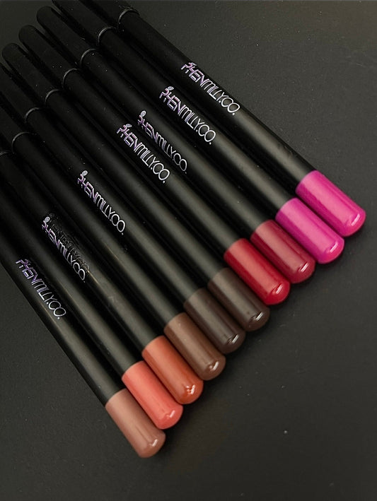 Professioneel lippotlood